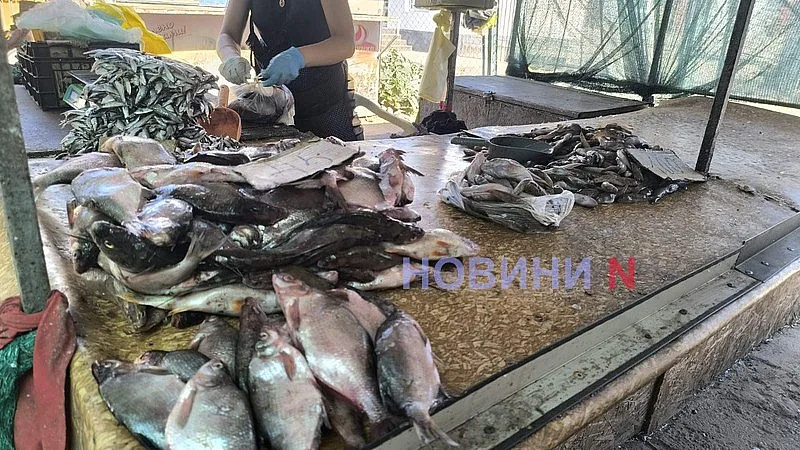Августовский рынок в Николаеве: актуальные цены на основные продукты