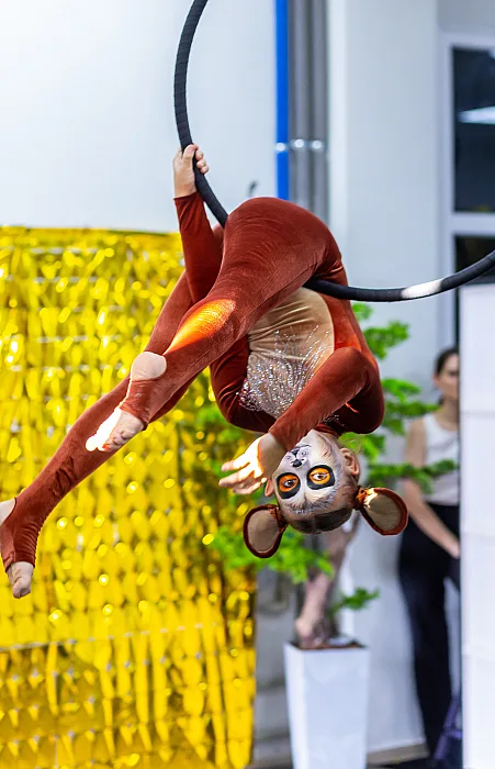 В Николаеве прошел фестиваль по воздушной гимнастике BEFEST 2026 (фоторепортаж)