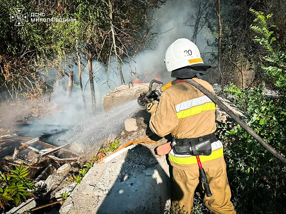 На Николаевщине за сутки произошло 45 пожаров: горели дома, постройки и 21 га сухостоя