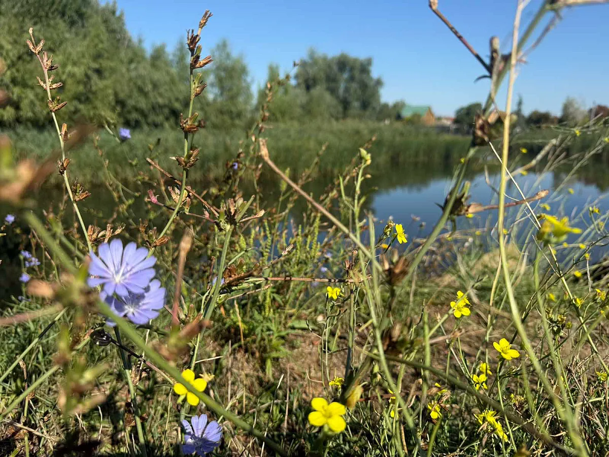 Исследователи показали сказочные виды Днестра в Одесской области (фото)