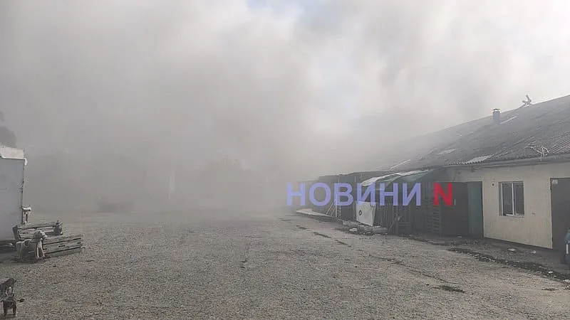 В Николаеве после удара дрона на предприятии возник пожар (видео)