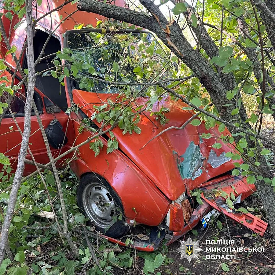 На трассе в Николаевской области «Пикап» врезался в дерево: пострадали две женщины