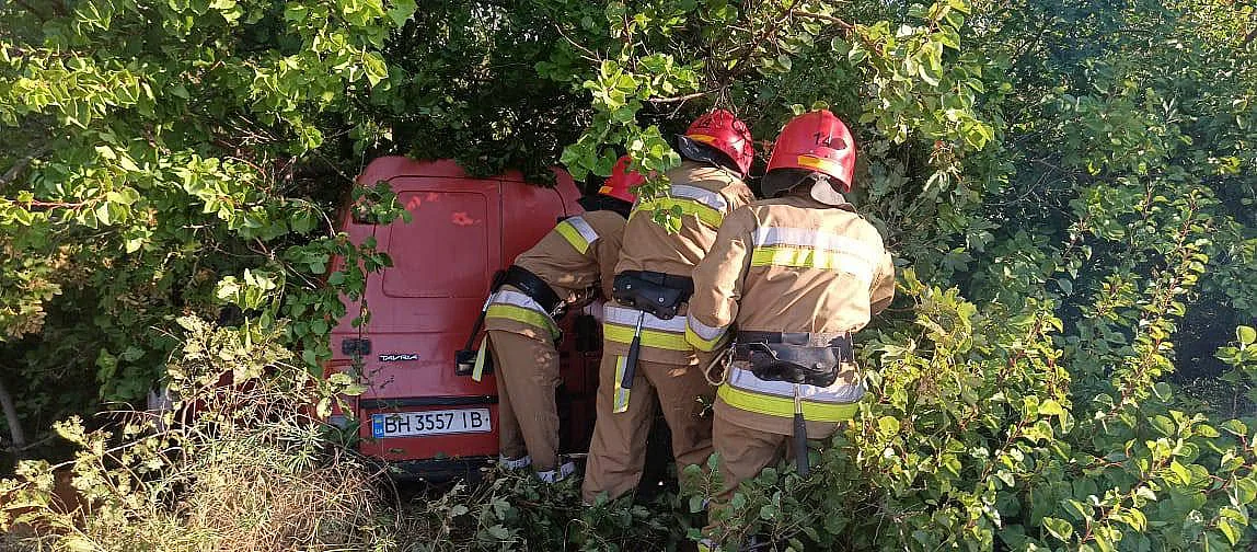 На трассе в Николаевской области «Пикап» врезался в дерево: пострадали две женщины