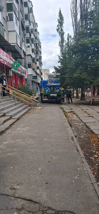 Около месяца провела на крыше: в Николаеве коммунальники спасли кошку