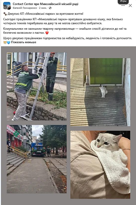 Около месяца провела на крыше: в Николаеве коммунальники спасли кошку