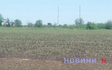 В Украине подорожала земля: сколько стоит в Николаевской области