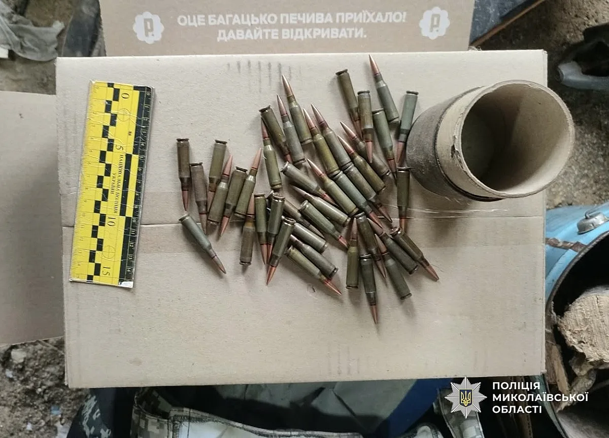 На Николаевщине мужчина угрожал жене оружием - полиция обнаружила у него арсенал