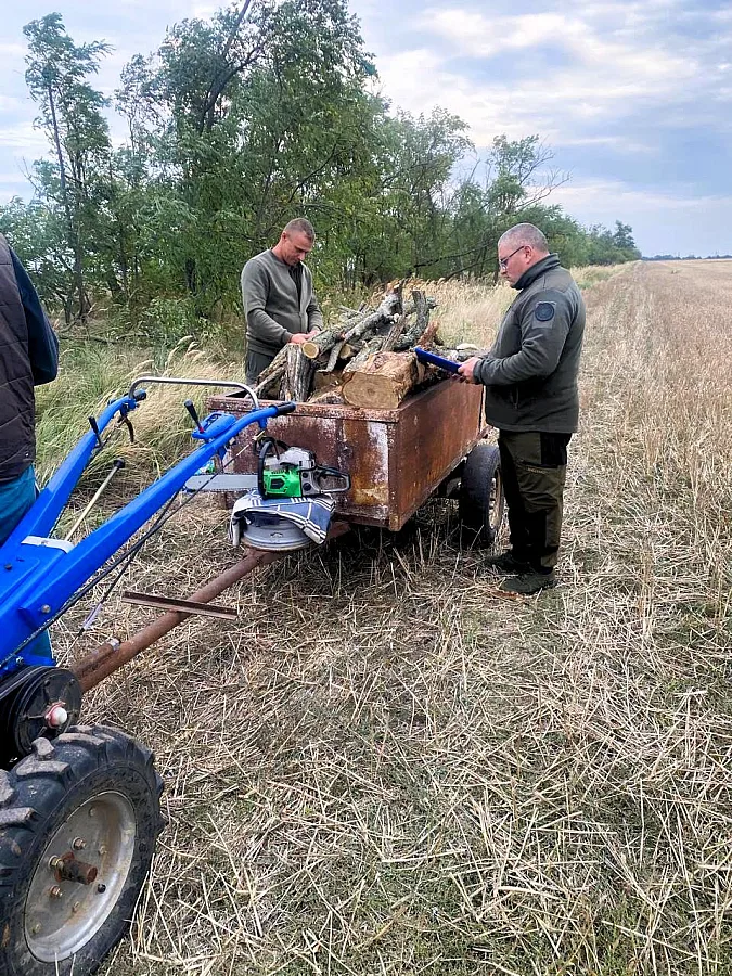 Штраф 510 гривен при ущербе более 24 тысяч: в Николаевской области поймали «черного лесоруба»