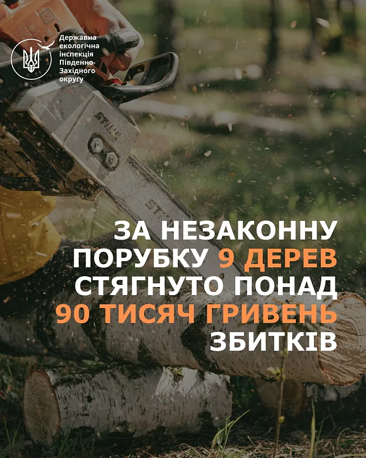 Срубил 6 акаций и 3 дуба: на Николаевщине мужчине дали 5 лет за незаконную вырубку