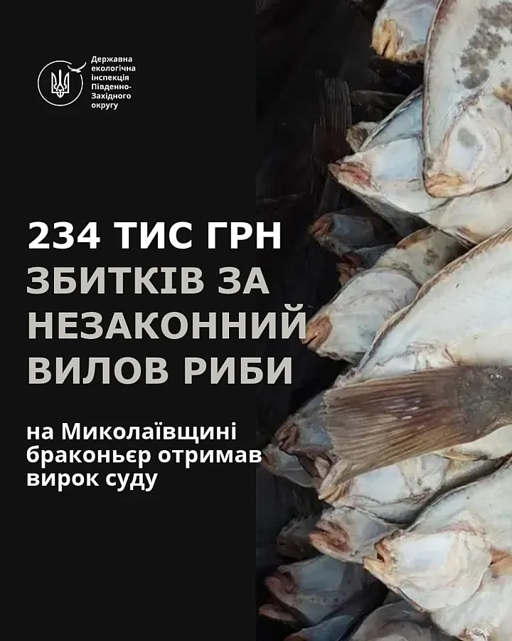 На Николаевщине браконьер незаконно выловил рыбу: ущерб оценили в 234 тысячи гривен
