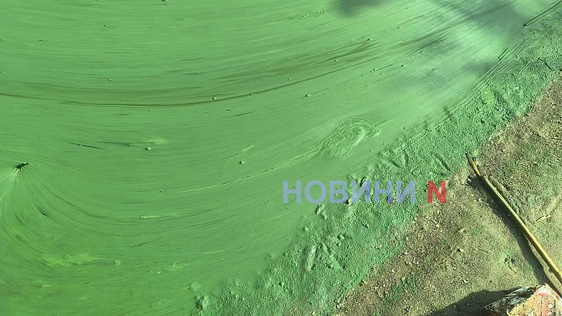 В Южном Буге «зацвела» вода - и это не водоросли (фото, видео)