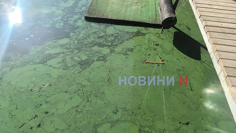 В Южном Буге «зацвела» вода - и это не водоросли (фото, видео)