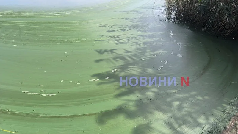 В Южном Буге «зацвела» вода - и это не водоросли (фото, видео)