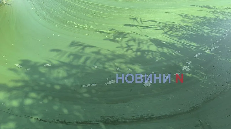 В Южном Буге «зацвела» вода - и это не водоросли (фото, видео)