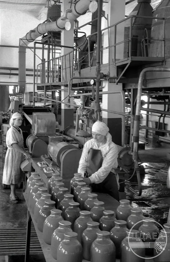 Как выглядела Николаевская область в 1950-х: архивные фото