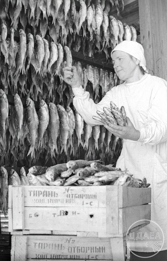 Как выглядела Николаевская область в 1950-х: архивные фото