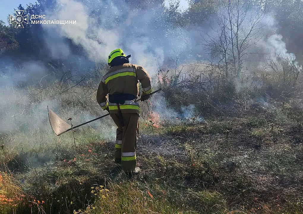 На Миколаївщині за добу загасили п'ять пожеж