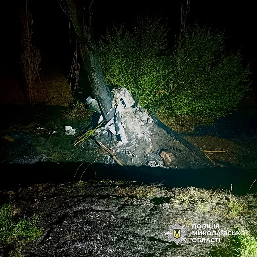На трассе под Николаевом BMW разорвало пополам после столкновения с деревом: погибли два человека