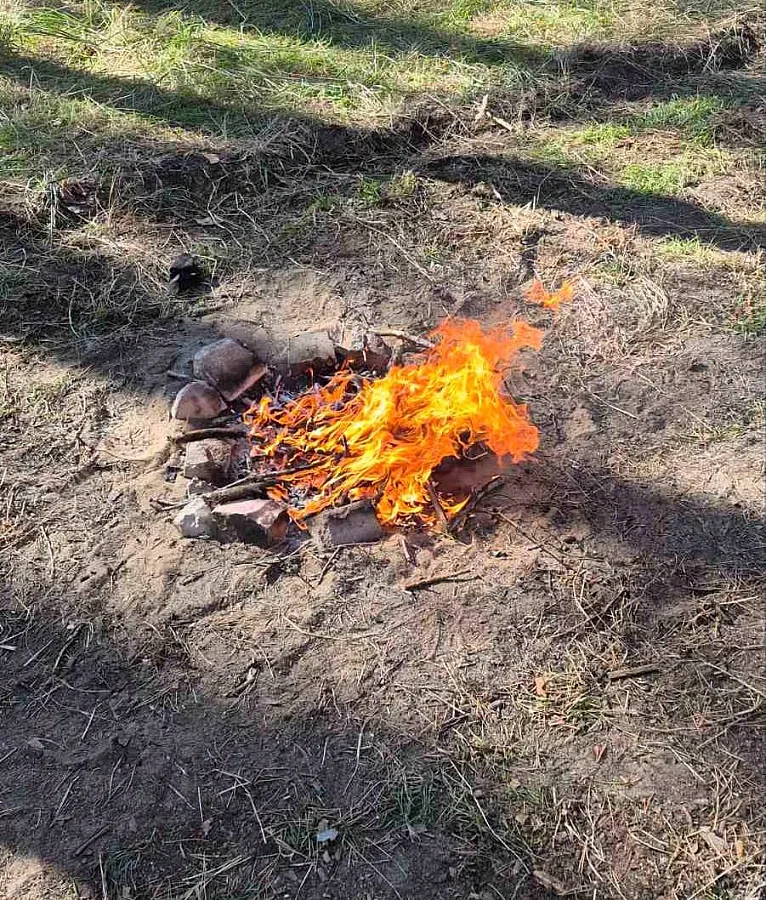 На Николаевщине в лесах выявили нарушения пожарной безопасности