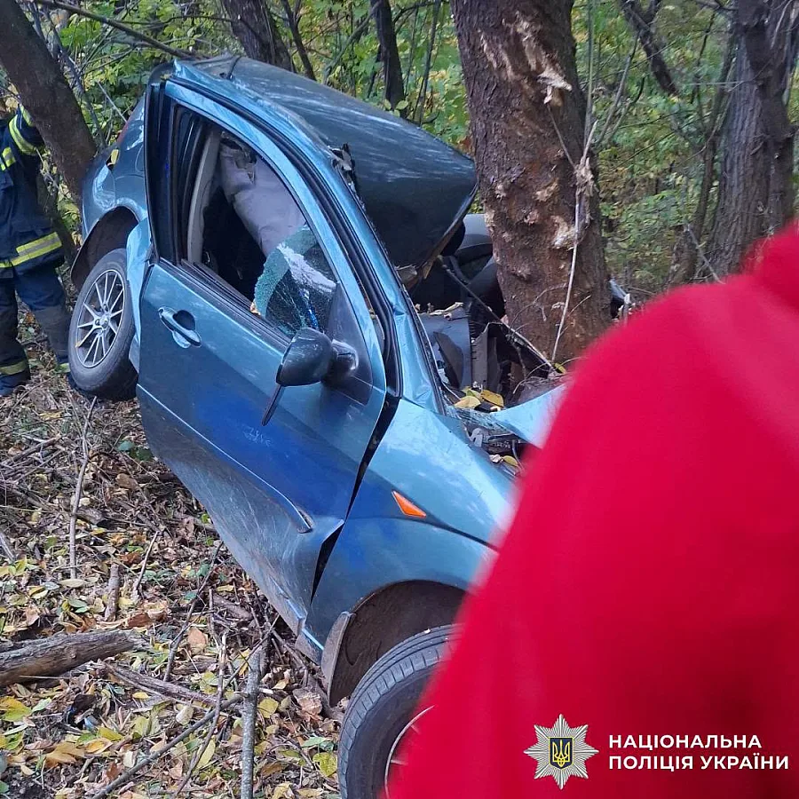 На Харківщині Ford врізався у дерево: водійка загинула, дитина у реанімації (фото)