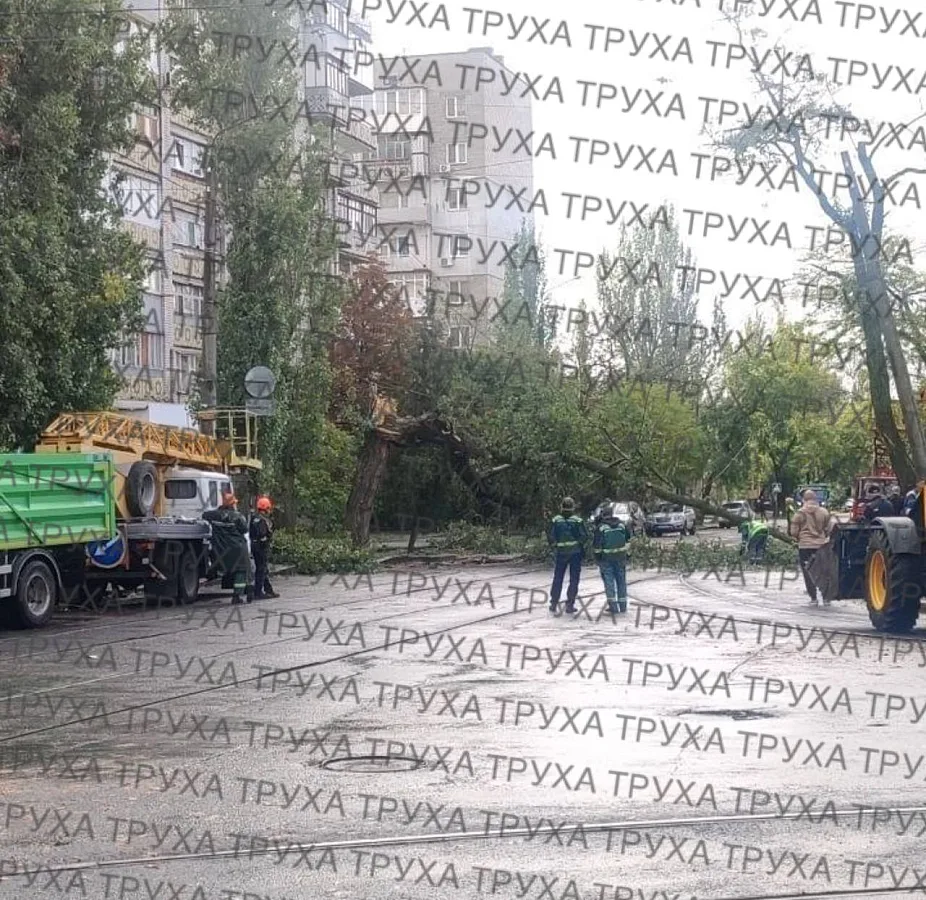 В Николаеве упавшее дерево перекрыло улицу и оборвало провода 