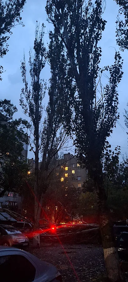В Николаеве из-за дождя и ветра во дворе многоэтажек тополя упали на припаркованные автомобили (фото)
