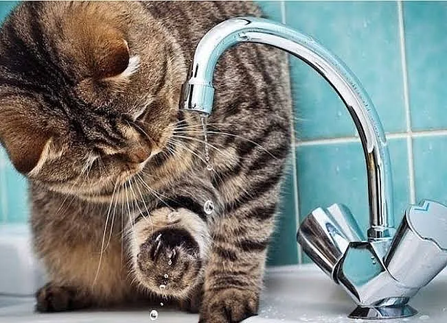 В Матвеевке на сутки сменят график водоснабжения: когда не будет воды