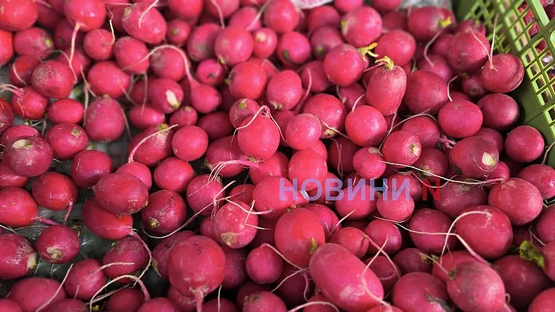 От картофеля до малины за 600 гривен: цены на рынке Николаева в октябре