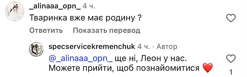 «Меня забрали ТЦК»: в Полтавской области собаку оставили в парке с запиской о мобилизации хозяина