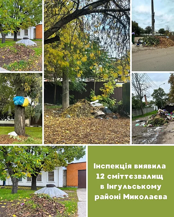 В Николаеве нашли 12 стихийных свалок: где оставляют отходы