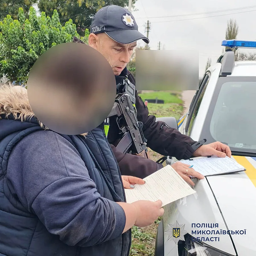 В Николаевской области женщину наказали за жестокое обращение с собакой: что произошло (фото)