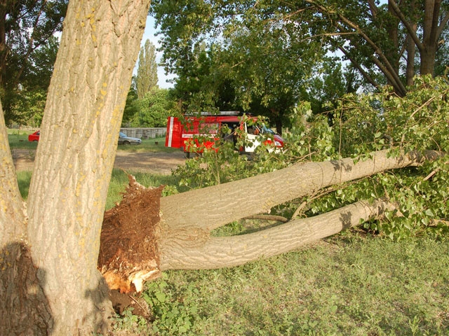 Николаевские спасатели очистили город от упавших деревьев