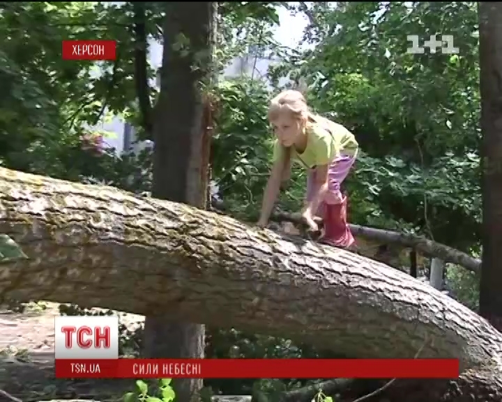 Буря в Херсоне: поваленные деревья травмировали 2 людей