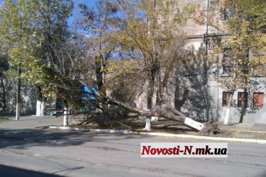 Возле Морского лицея в центре Николаева рухнуло дерево