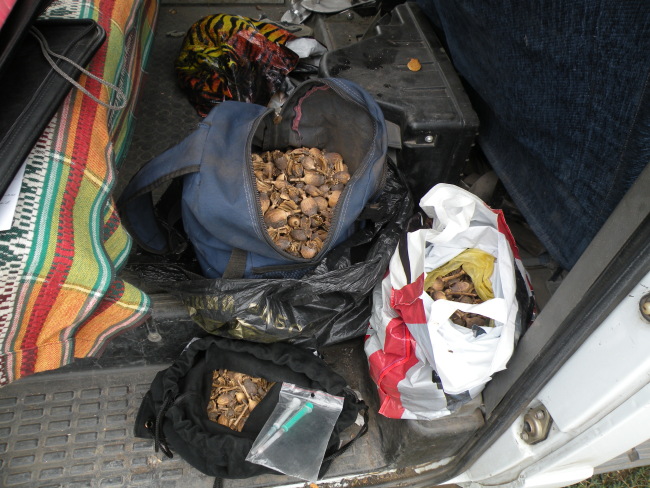 ГАИшники поймали «веселую компанию», перевозившую 2 килограмма наркотиков
