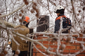 В Николаеве спасатели сняли поваленное дерево с крыши здания