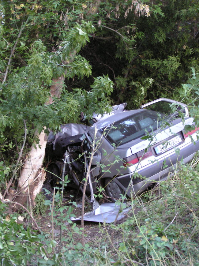 Водитель «Ситроена» после столкновения с деревом погиб на месте ДТП, его пассажир госпитализирован