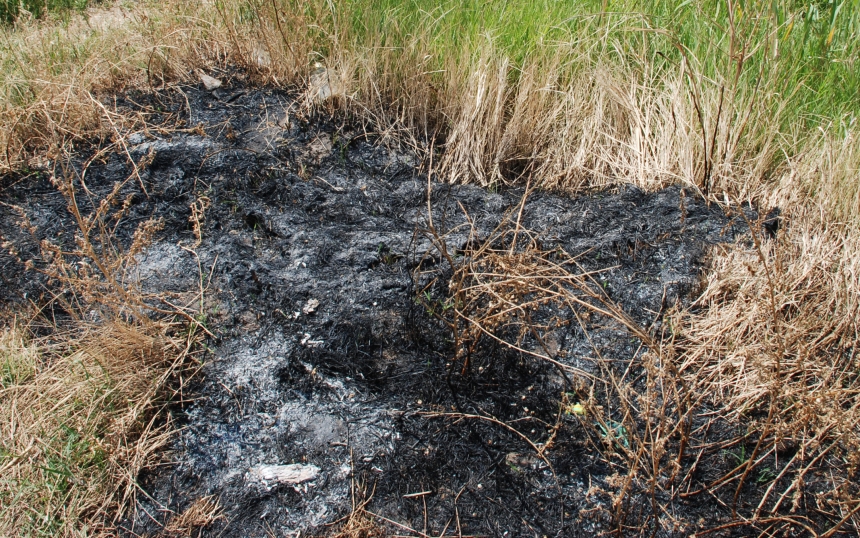 В минувшие сутки на Николаевщине пылали пожары на пяти гектарах открытых территорий 
