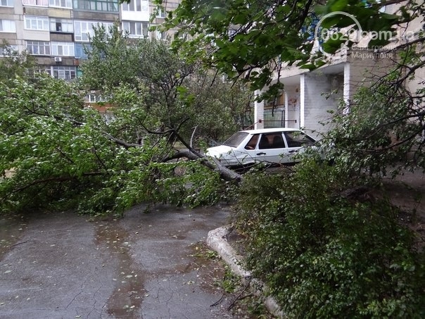 Непогода в Украине: разрушены дома, разбиты автомобили, повалены деревья. ФОТО. ВИДЕО