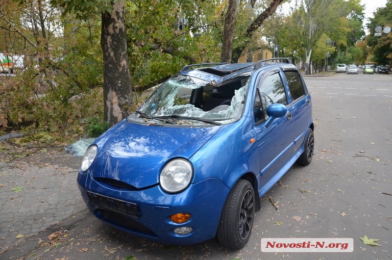 В Николаеве ветка дерева упала на автомобиль, припаркованный у прокуратуры