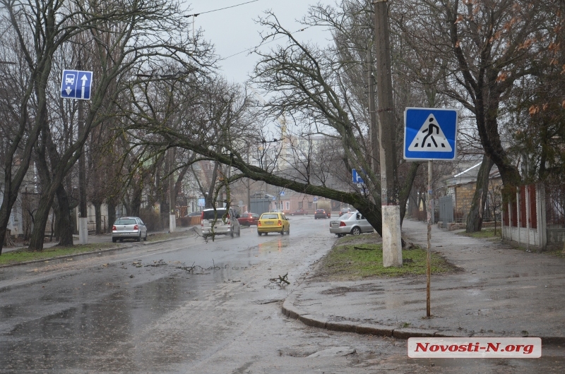 НЕПОГОДА В НИКОЛАЕВЕ: ВЕТЕР ВАЛИТ ДЕРЕВЬЯ И СНОСИТ РЕКЛАМНЫЕ КОНСТРУКЦИИ