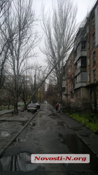 Стихия в Николаеве: около сотни поваленных деревьев и оборванные провода