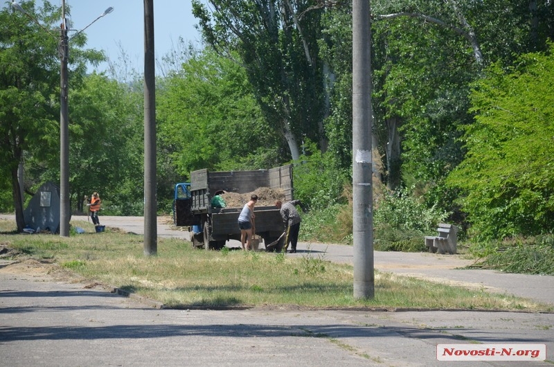 Николаевский городской голова проинспектировал пляж «Стрелка» и парк «Победа». ФОТОРЕПОРТАЖ