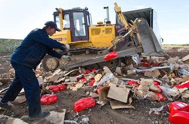 В РФ уничтожили тонны литовского сыра, норвежской рыбы и польских яблок