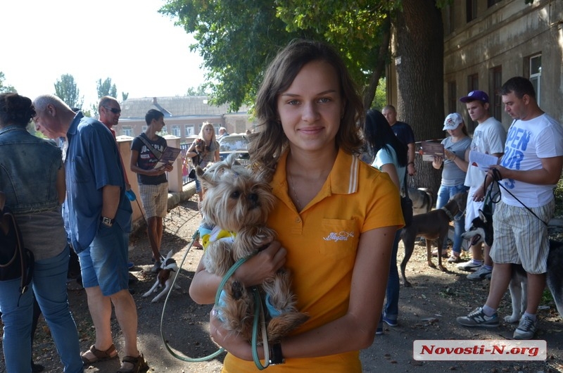 В Николаеве проходит выставка собак «Осень Прибужья - 2015». ФОТОРЕПОРТАЖ
