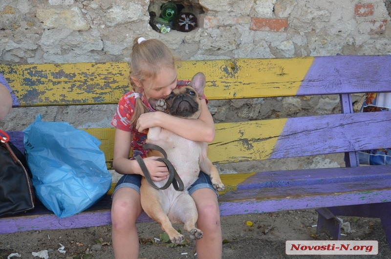 В Николаеве проходит выставка собак «Осень Прибужья - 2015». ФОТОРЕПОРТАЖ