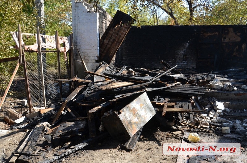 Ночью в парке «Победа» в Николаеве полыхал пожар