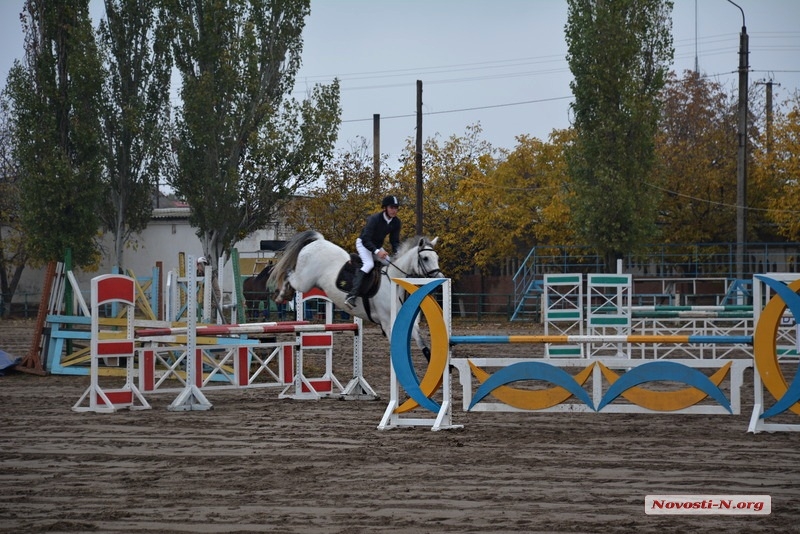 В Николаеве проходит открытый чемпионат по конному спорту. ФОТО