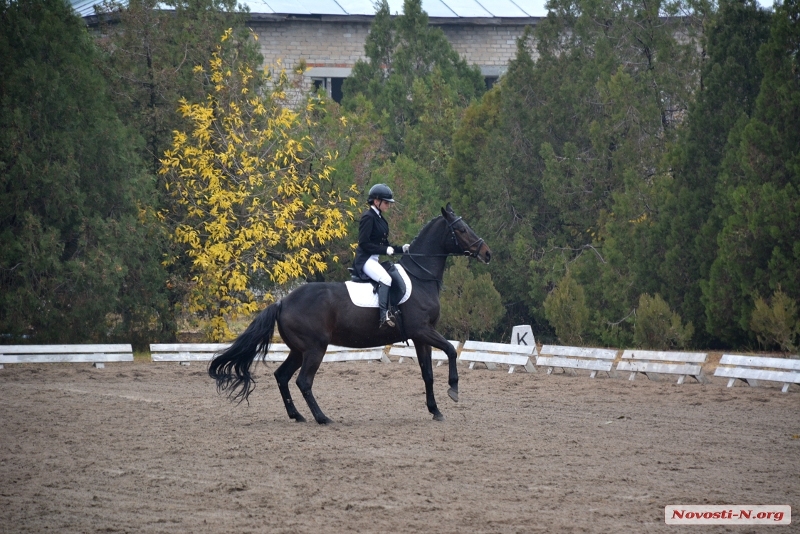 В Николаеве проходит открытый чемпионат по конному спорту. ФОТО