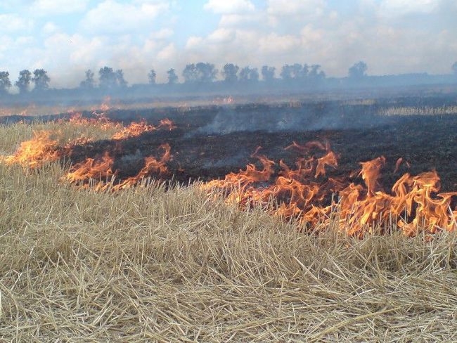 Подожженная трактористом стернь едва не стала причиной масштабного пожара на Николаевщине